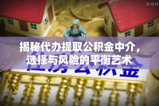 湄潭揭秘代办提取公积金中介，选择与风险的平衡艺术